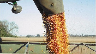 Matba y Rofex apuntan a negociar 50 millones de toneladas de granos en 2018