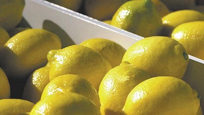 EE.UU. sigue dejando afuera los limones argentinos