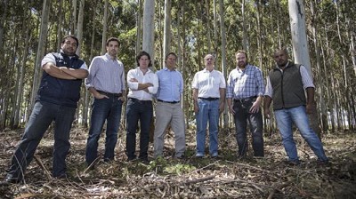 Forestación entrerriana: con una gestión eficiente, logran triplicar la renta ganadera