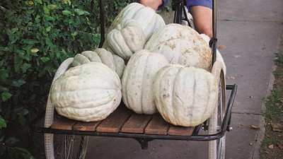 Diego García Tedesco: zapallo, ningún plomo