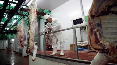 Clausuran plantas y detectan faena de animales por debajo del peso mínimo