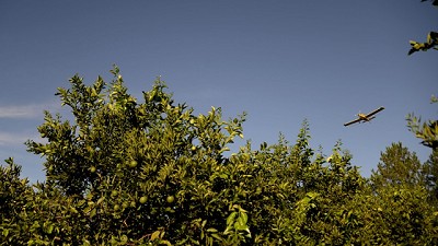 Comenzó la primera etapa del Programa de Control y Erradicación de la Mosca de los Frutos