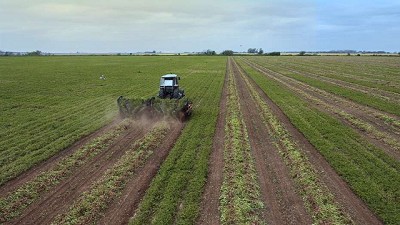 Prevén que la recuperación del empleo venga de agro, construcción, pesca y servicios