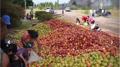 Cierra la empresa frutícola Moño Azul