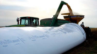 Granos: almacenamiento seguro, inocuo y de calidad