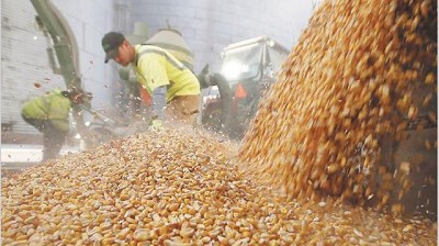 México mira a Sudamérica para la importación de granos