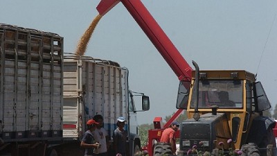 Altos costos de transporte, una barrera para la expansión agrícola en el norte de Argentina