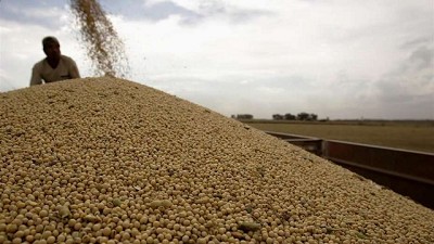 Agroindustria, la locomotora que confirmó su vigencia