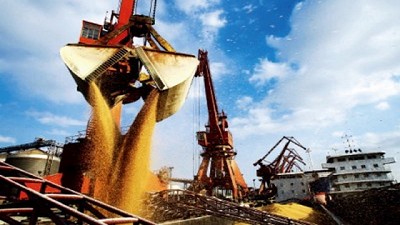 Por el atraso en los pagos, los vendedores transfieren al menos 100 millones de pesos a la industria y la exportación