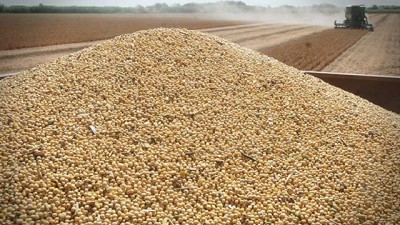 Soja: el clima posibilitó el repunte local del precio