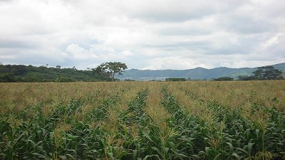 Clima 2017, lo inesperado marca tendencia