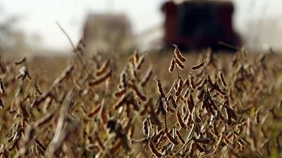 Soja: se fijó el precio para los reintegros a productores del norte