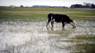Reporte de lluvias al 10 de abril