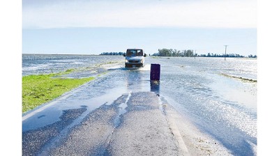 Por las inundaciones, están en riesgo unos u$s 5000 millones de la producción sojera