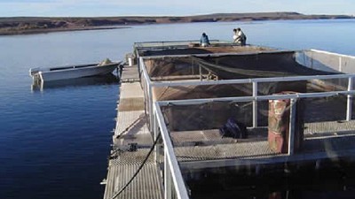 Río Negro convoca a presentación de proyectos acuícolas