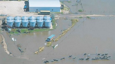 Por las inundaciones, se profundiza la crisis de la industria láctea