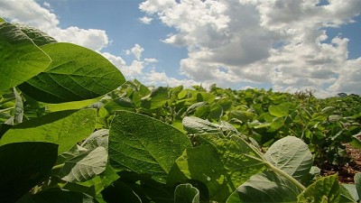 70% de la región con severos problemas de excesos - GEA - BCR