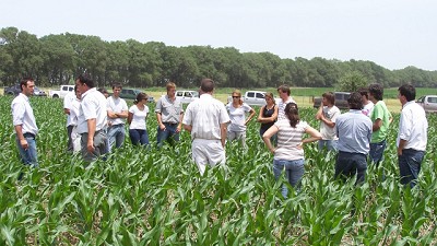 Beneficios fiscales que ayudan a las pymes del campo