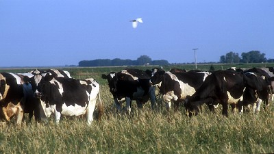 Cadena de Valor: los números a febrero 2017