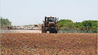 Por el impulso del agro, la recuperación es más rápida en la región pampeana