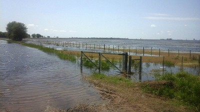 Radio: ¿Por qué colapsó el oeste bonaerense? LLovieron 1200 mm en 6 meses; con I.Moscardi
