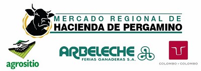Nuevo Remate de Hacienda en el Mercado Regional de Pergamino