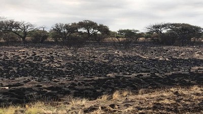 Cómo recuperar los campos afectados por incendios