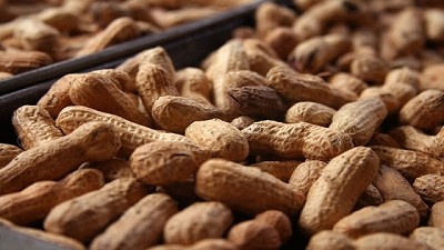 Soluciones eficientes para el cultivo de Maní