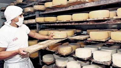 El gobierno bonaerense apunta a mejorar la calidad del sector quesero