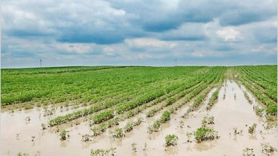 La emergencia hídrica para 11 provincias se convirtió en ley