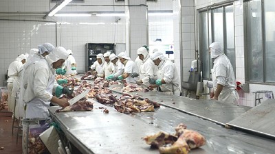 Agroindustria y SENASA suspendieron una planta frigorífica en Cañuelas