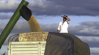Las malezas golpean la rentabilidad agrícola