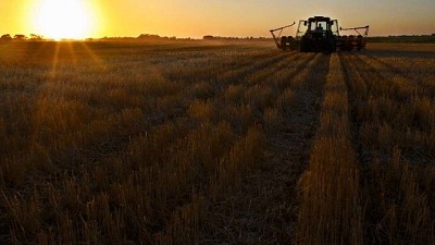 Brotes verdes: se viene un nuevo modelo productivo