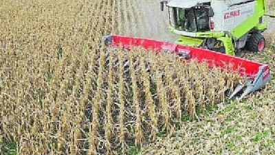 Los fierros ahora se adaptan a la sintonía fina