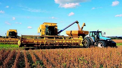 La producción de soja no GMO, con horizonte para seguir creciendo