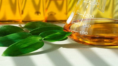 Todavía no se llegó a una solución por el conflicto con EE.UU por el biodiesel