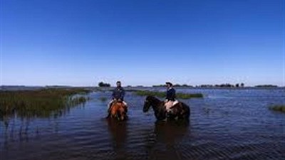 Las lluvias en la pampa húmeda ya superaron los promedios de los últimos 30 años