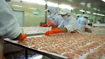 En marzo aumentó un 46% los desembarques en puerto de las principales especies del Mar Argentino