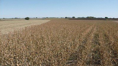 Técnica del aro: medir la eficiencia para reducir las pérdidas