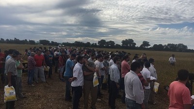 Nidera presentó la nueva generación de sojas de alto rendimiento