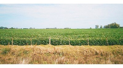 Presión impositiva e infraestructura, el déficit del agro