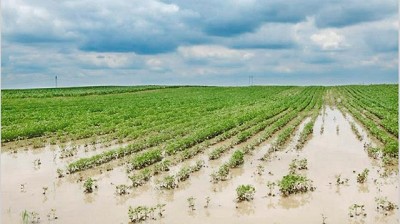 Los problemas climáticos impidieron bajar más la inflación