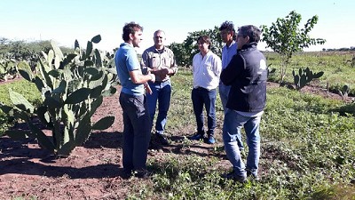 Prevención de la presencia de la langosta en el Noreste argentino
