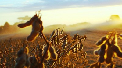 Informe mensual del USDA - Estimaciones EE.UU.