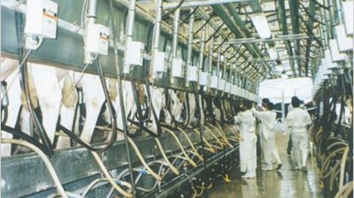 Tamberos reclaman por precio