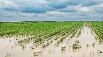 Piden actualizar el fondo de emergencia para los productores inundados