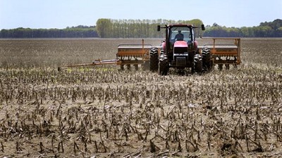 Campaña de granos finos: qué va a pasar con el clima en los próximos meses