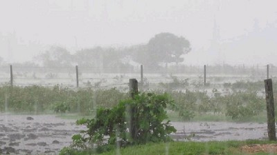 Reporte de lluvias al 19 de Mayo