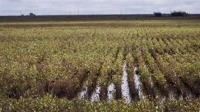 Se confirmaría otro ciclo húmedo para la nueva campaña agrícola