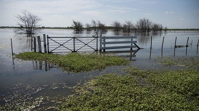 En la zona agrícola núcleo las lluvias ya rondan los 1000 mm en lo que va del año